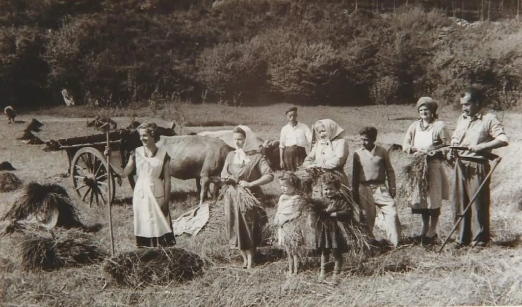 Museo Etnográfico del Oriente de Asturias